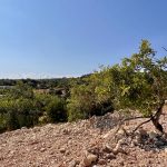 LOULE SPECTACULAR INVESTMENT PLOT FOR RURAL TOURISM