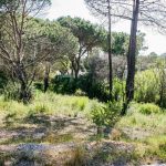 AWESOME PLOT FOR CONSTRUCTION WITHIN WALKING DISTANCE TO THE BEACH