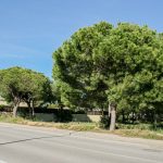 FANTASTIC BUILDING PLOT