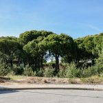 INVESTMENT OPPORTUNITY IN A SOUGHT AFTER LOCATION