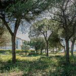 INVESTMENT OPPORTUNITY IN A SOUGHT AFTER LOCATION