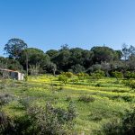 ALBUFEIRA - ELEGANT 4-BEDROOM COUNTRYSIDE MOORISH VILLA UNDER CONSTRUCTION