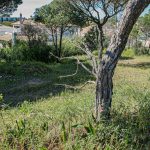 AWESOME PLOT FOR CONSTRUCTION WITHIN WALKING DISTANCE TO THE BEACH