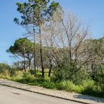 AWESOME PLOT FOR CONSTRUCTION WITHIN WALKING DISTANCE TO THE BEACH