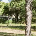 FANTASTIC BUILDING PLOT