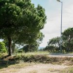 FANTASTIC BUILDING PLOT