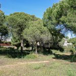 INVESTMENT OPPORTUNITY IN A SOUGHT AFTER LOCATION