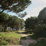 INVESTMENT OPPORTUNITY IN A SOUGHT AFTER LOCATION